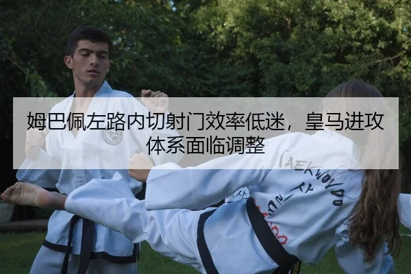 mu-ba-pei-zuo-lu-nei-qie-she-men-xiao-lv-di-mi-huang-ma-jin-gong-ti-xi-mian-lin-tiao-zheng-2-865.jpg